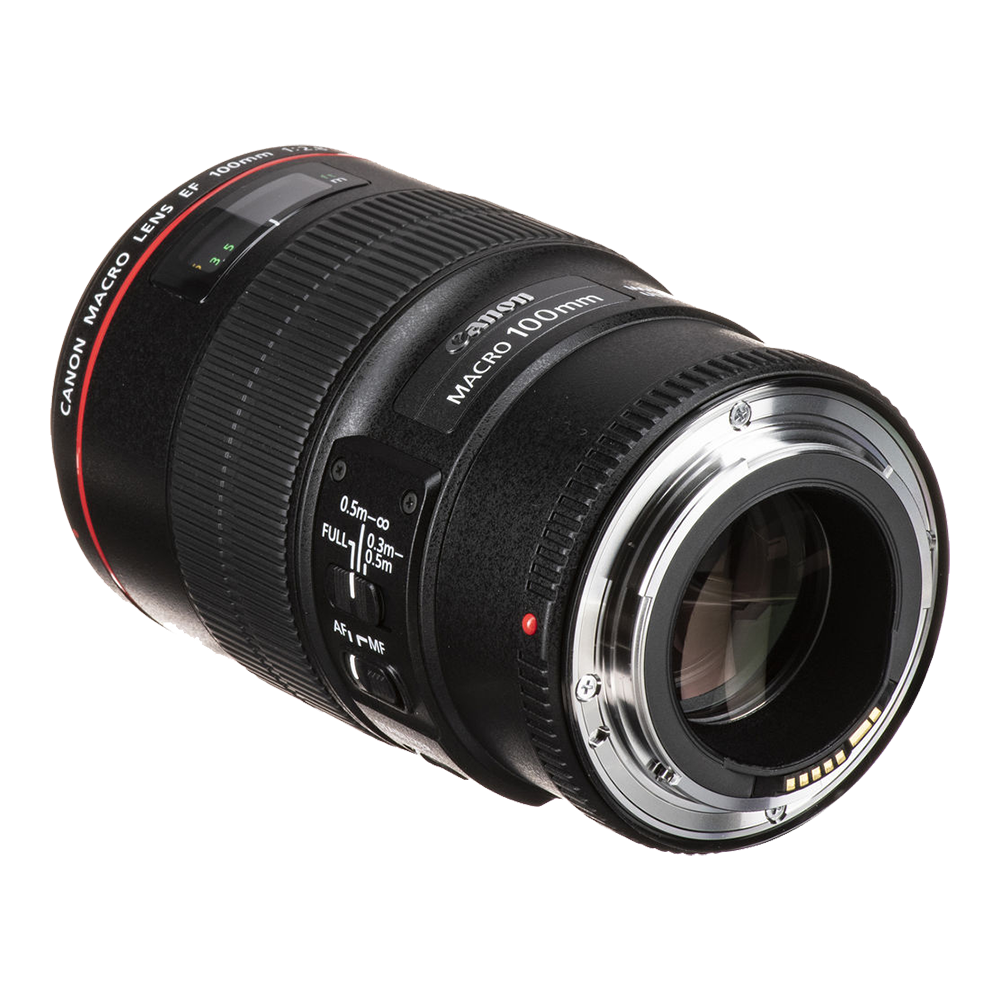 【超美品】Canon EF 100mm F2.8 L Macro IS USM Объектив Canon EF 100mm f/2.8 L Macro IS USM купить за 89900 руб.